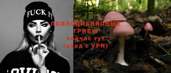 MDMA Медногорск