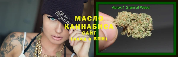 гашик Мегион
