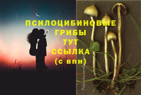 mdma Михайлов