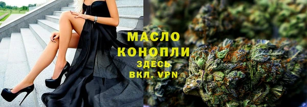 гашик Мегион