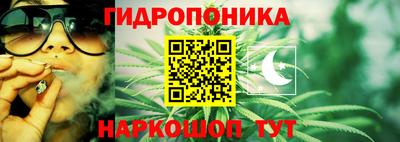 шишки Балаково