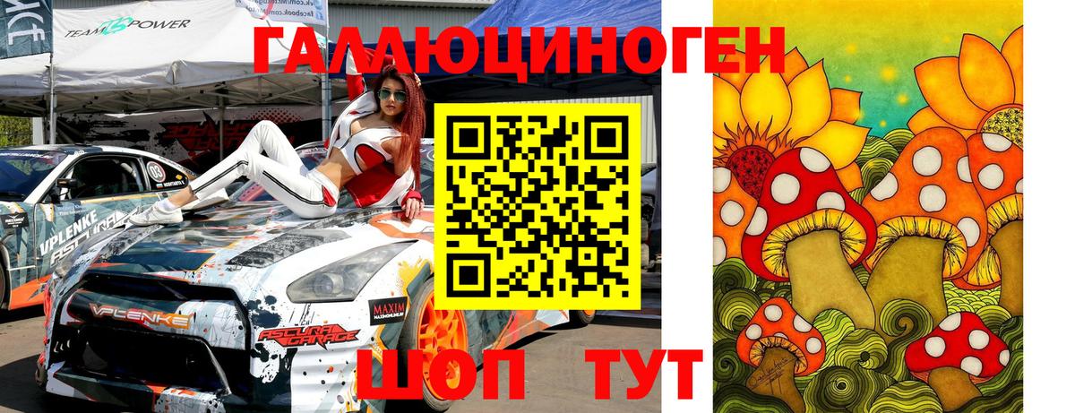 Галлюциногенные грибы Psilocybe Каменка