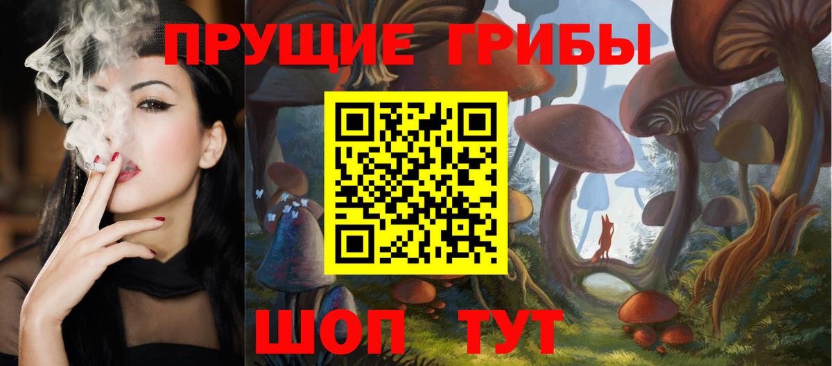 Каменка  Галлюциногенные грибы Psilocybine cubensis  Вход с VPN 